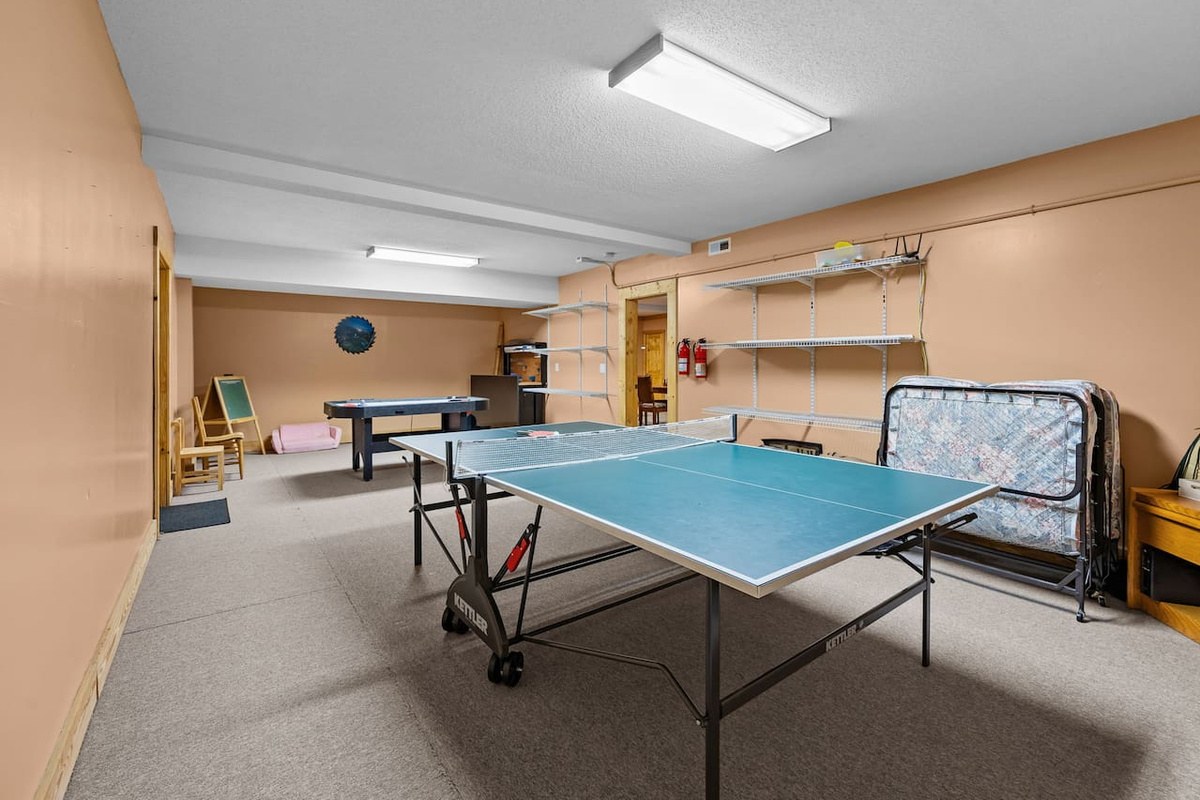 Entertainment area of the cabin - pingpong - air hockey- and more