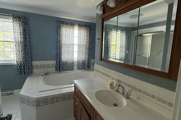 2nd floor primary bedroom's ensuite bathroom - Shower, tub, and large counter space.