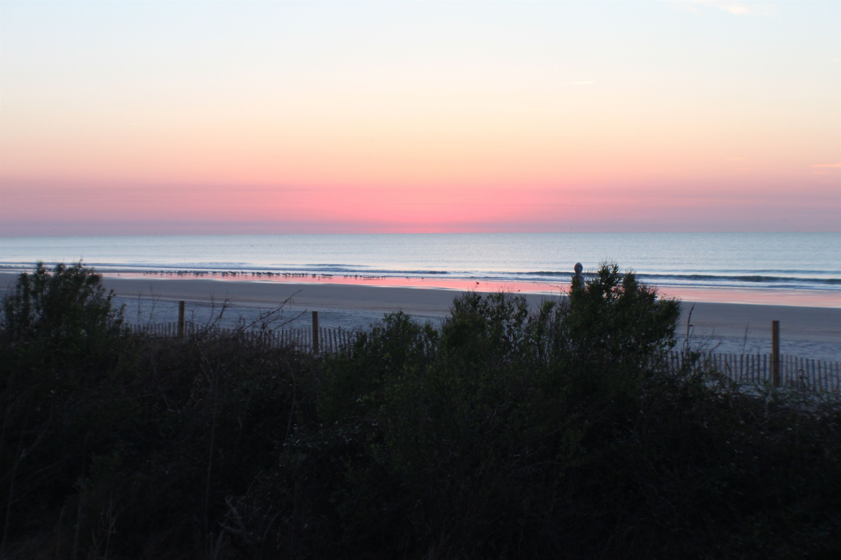 Sunrise by the Beach