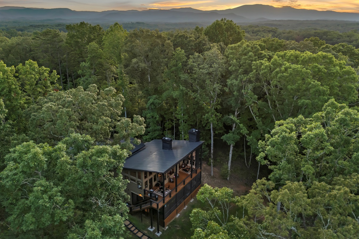 The striking exterior showcases the stunning design of Boujee Lodge. Where contemporary build and forest backbone coexist beautifully.