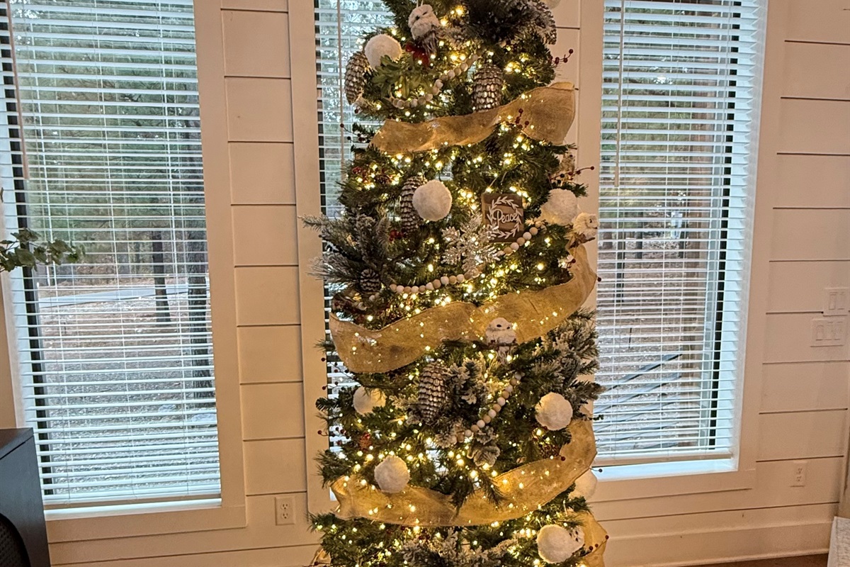 It's officially Christmas Cabin Season !