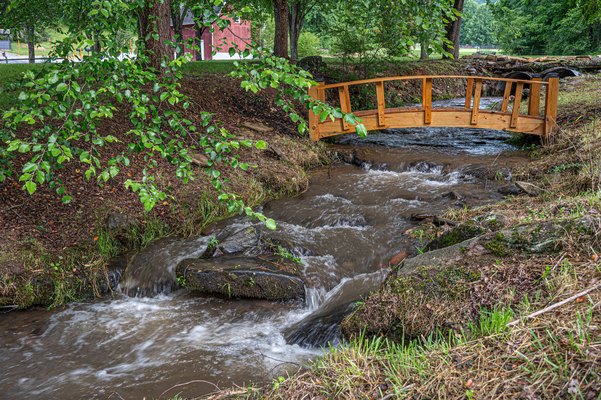 Outdoor Oasis: Stroll across the charming wooden bridge by the babbling creek for tranquil moments!