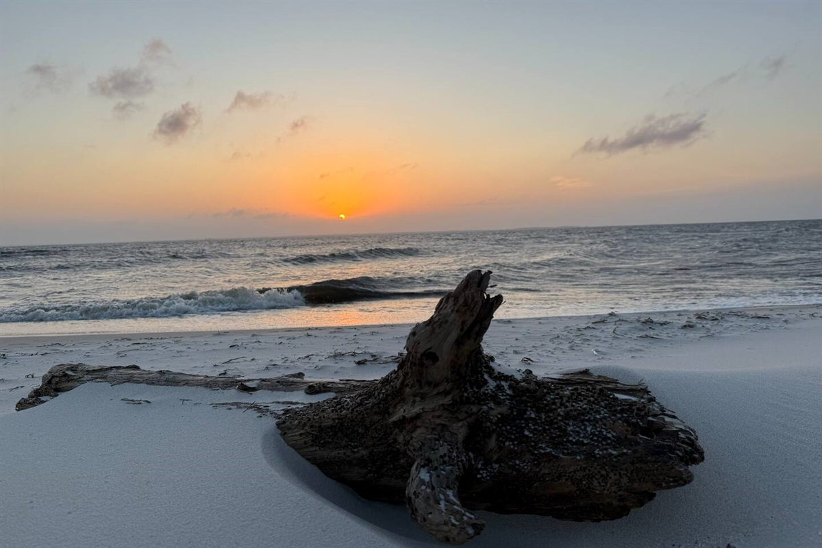 Imagine bonfires with friends and family on the private beach! Just remember, "leave no trace."