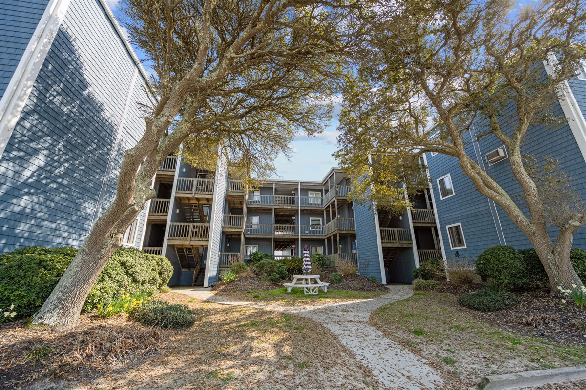 Peaceful courtyard area surrounded by coastal trees and community seating