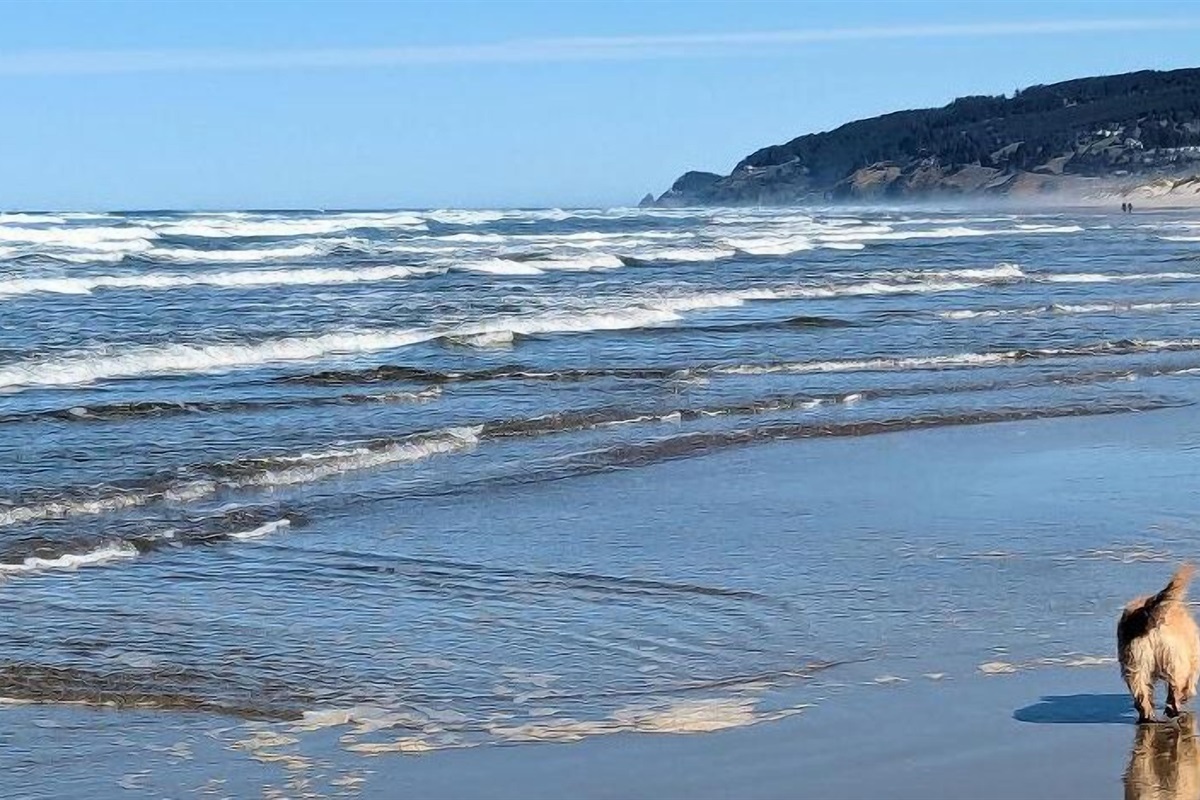 Heceta Beach looking north