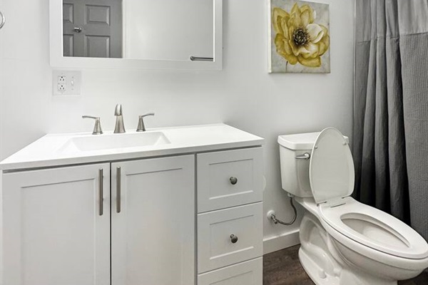 Newly renovated bathroom with shower/tub combo.