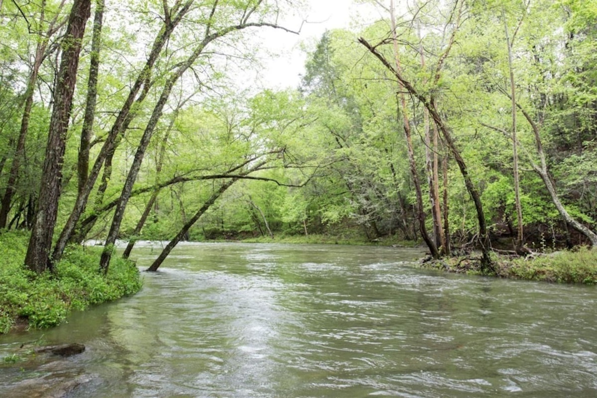 The French Broad River runs throughout Riverbend at Lake Lure.
Enjoy this river. 