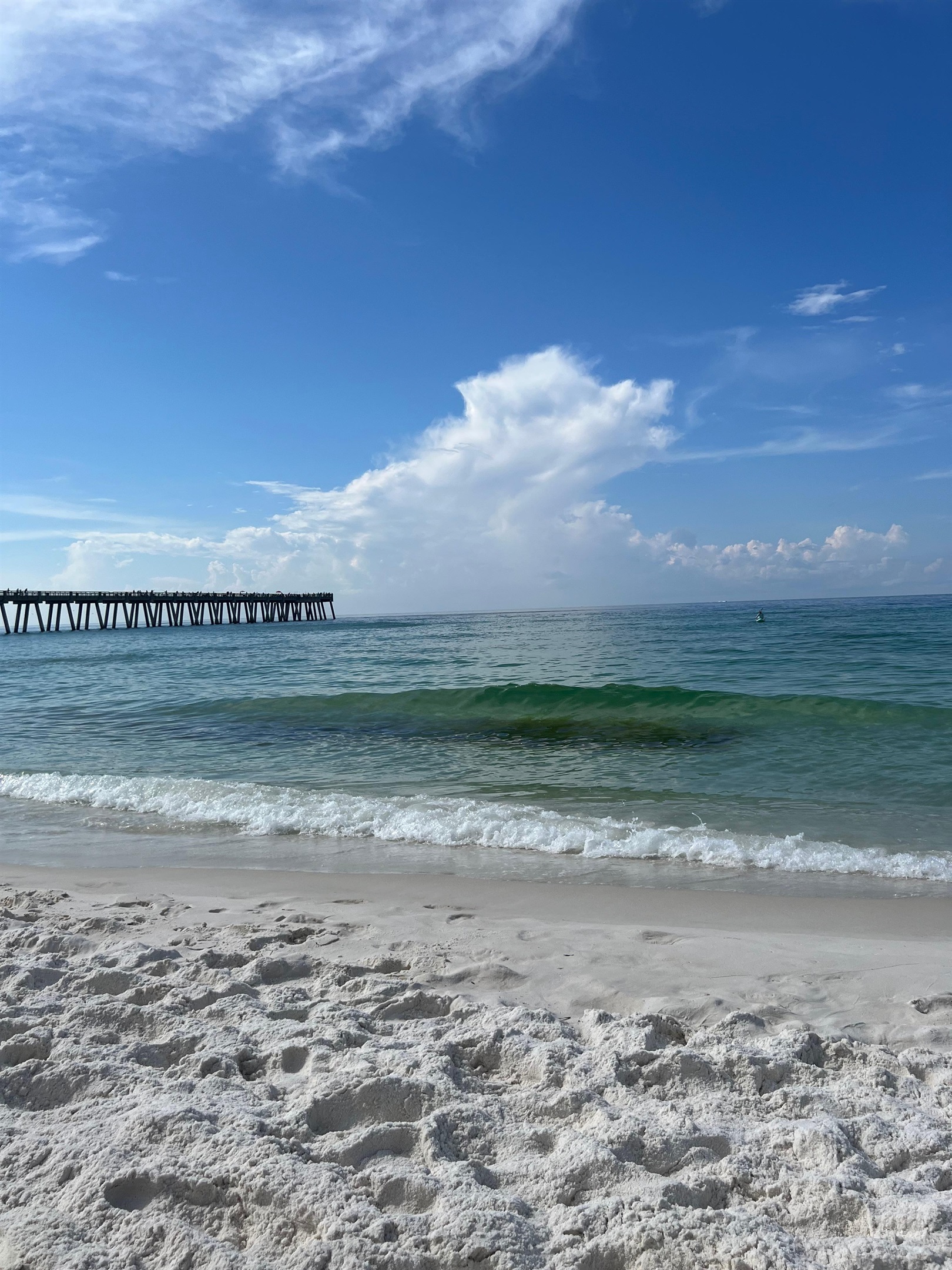 Guest Photo: Jessica S., Jul 12, 2025