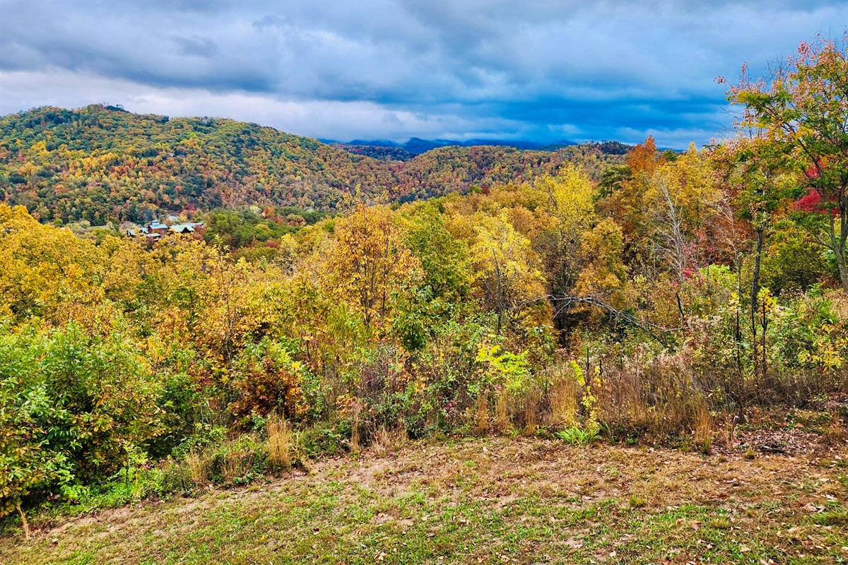FALL DECK VIEW