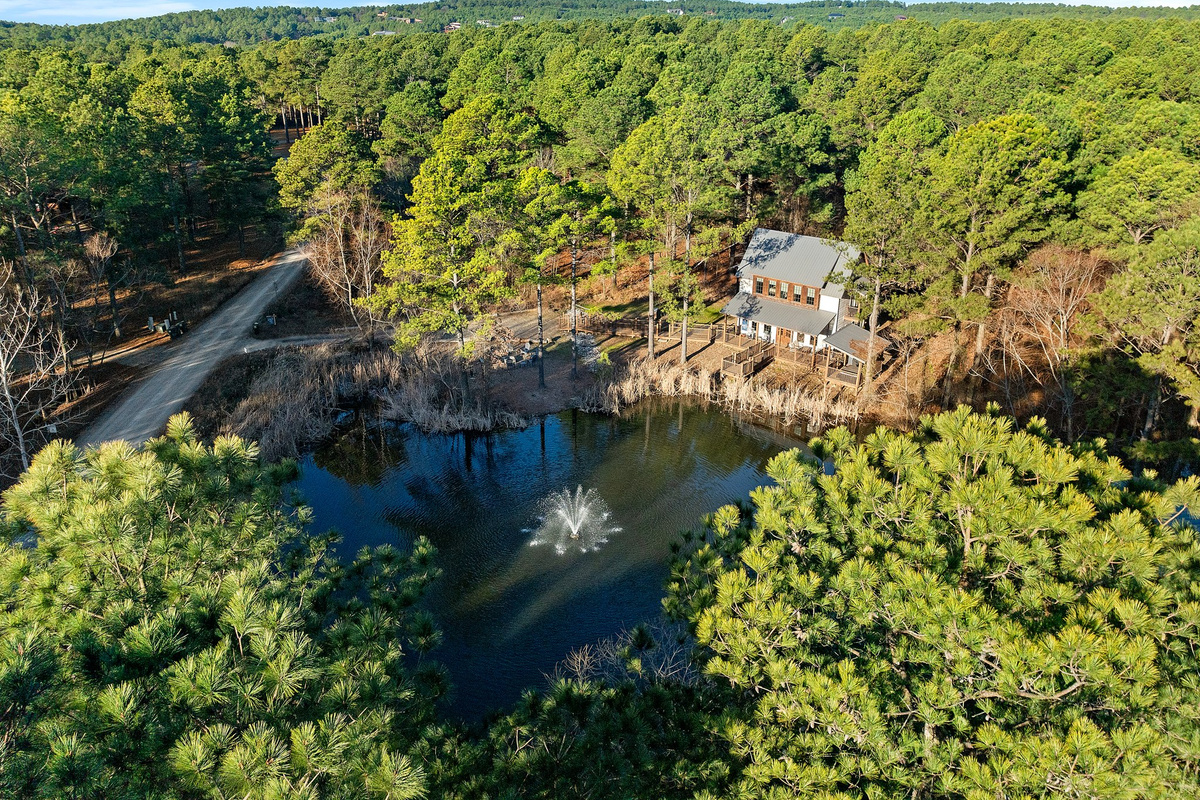 Pond