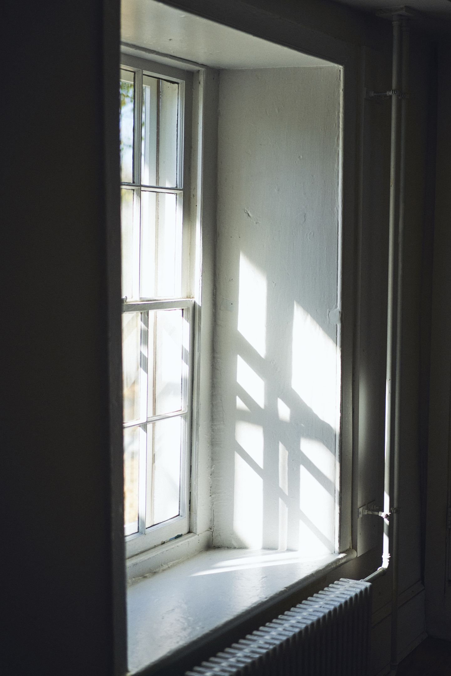 Morning light through the Dutch door