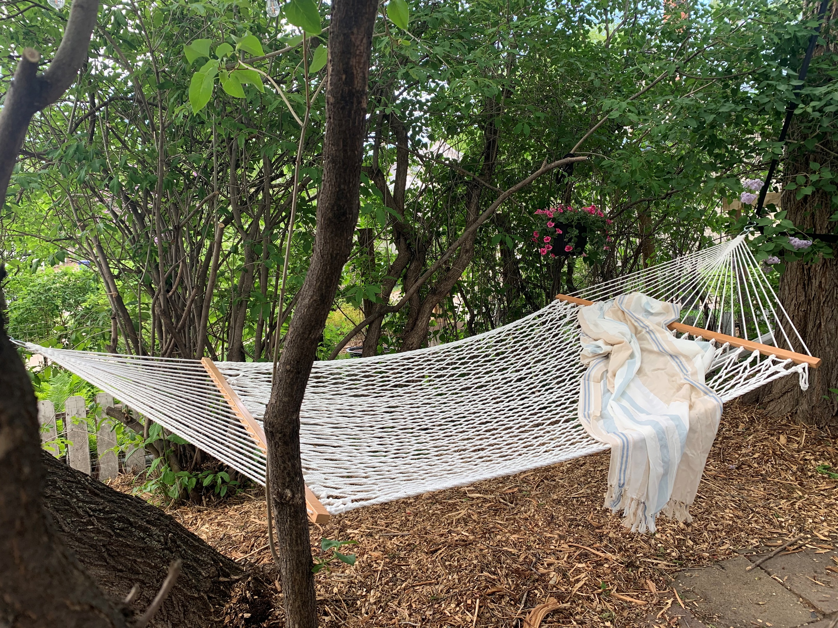 Unwind and recharge. This peaceful hammock area is ideal for an afternoon read or a quiet nap.