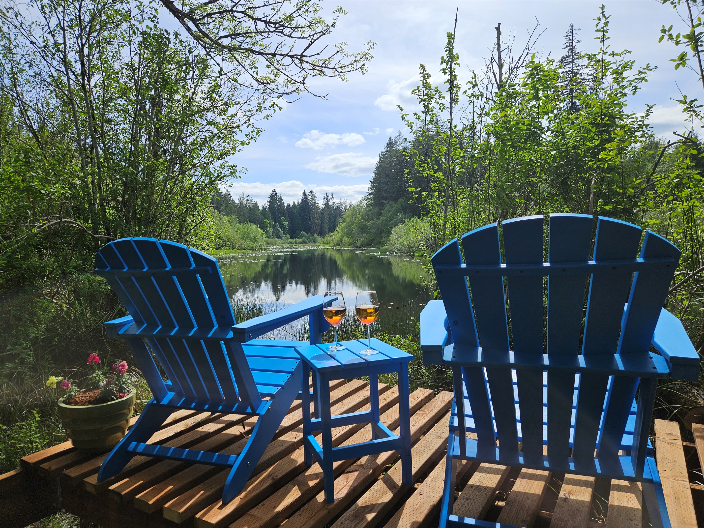 Relax along the shores of Mill Creek as it exits Lake Isabella.  Kayak to the lake, go tubing down the creek, or birdwatch by day and scout for beavers at twilight.