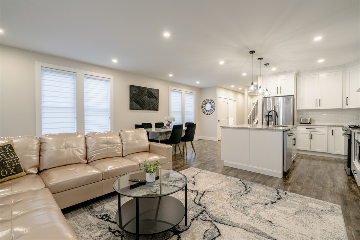 Open Concept Modern Living Space