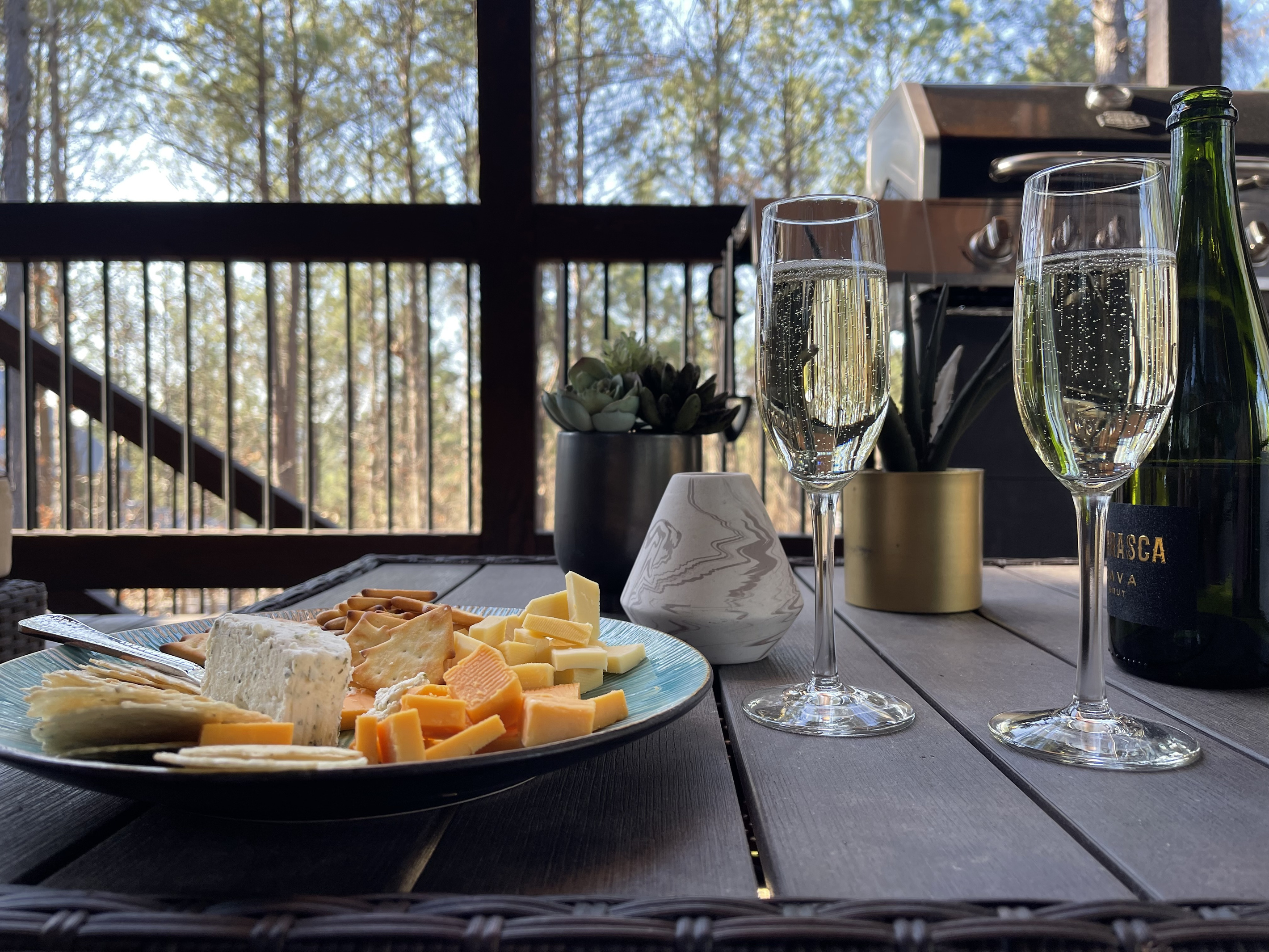 One of our favorite places at the First Kiss cabin…peaceful back porch patio with our favorite afternoon snacks and some bubbly!
