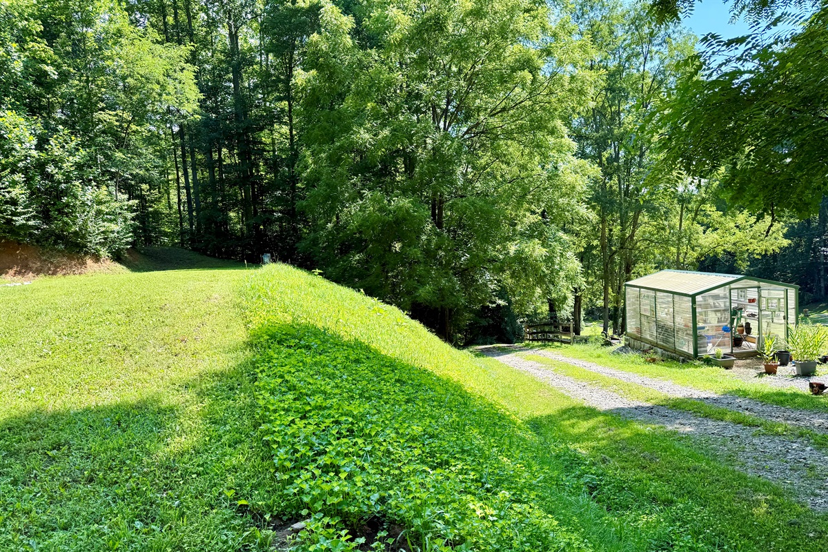 Perfect spot for RVs, tents, and a quiet mountain escape.