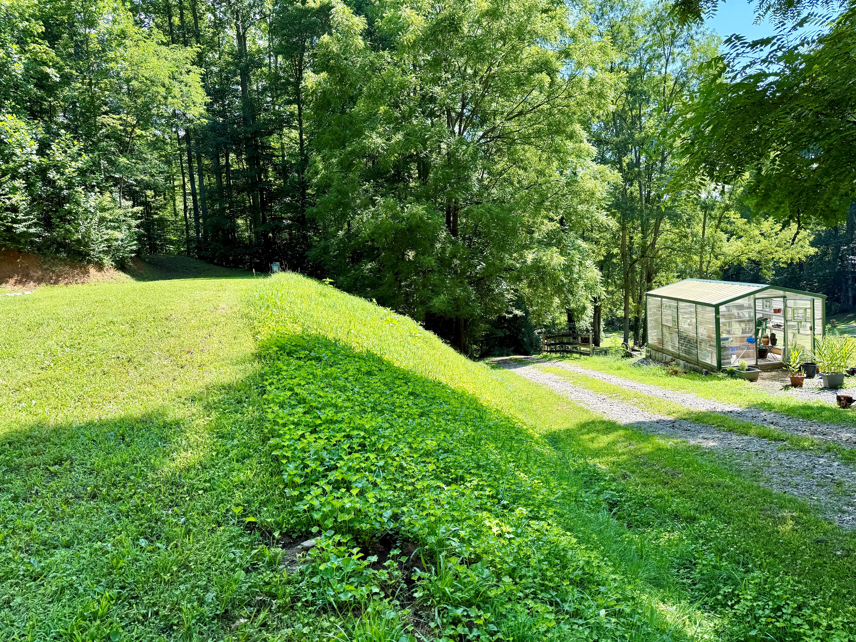 Perfect spot for RVs, tents, and a quiet mountain escape.