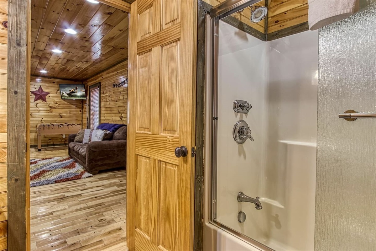 Lower level bathroom