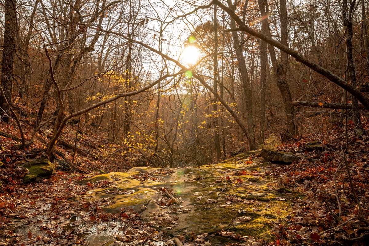Seasonal Water Fall Next To Cottage