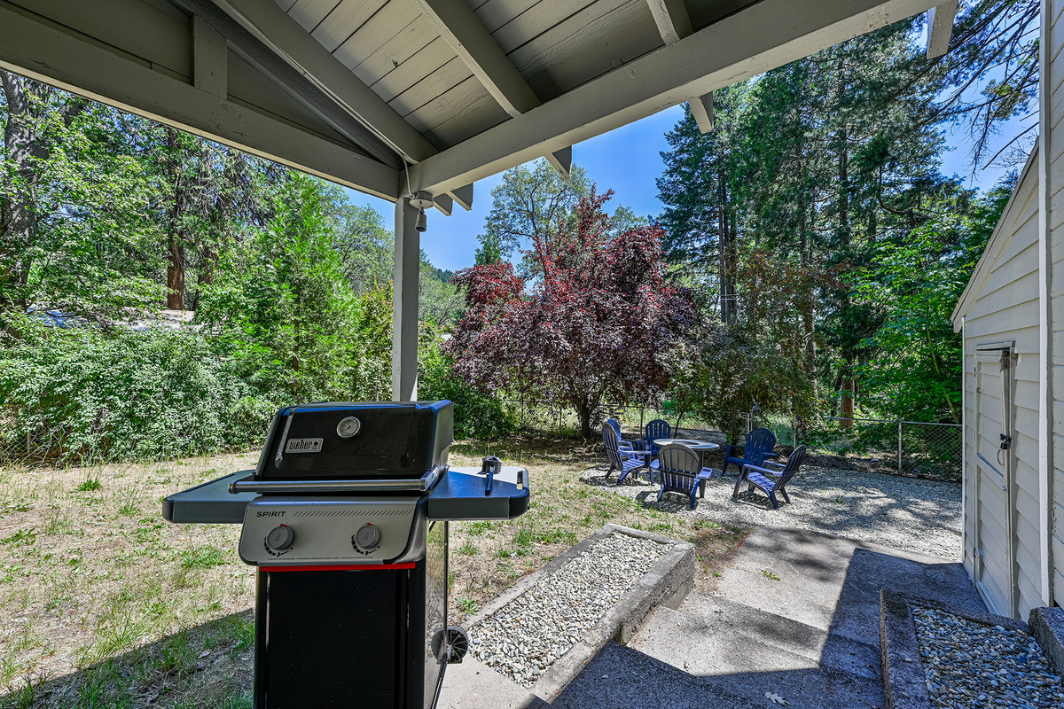 Gas BBQ