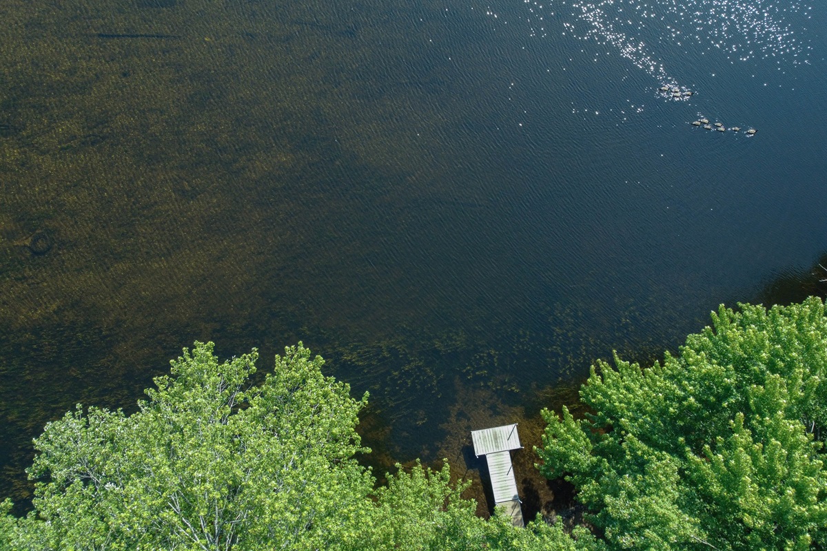 overhead view of the dock and river (dock is 20ft long)