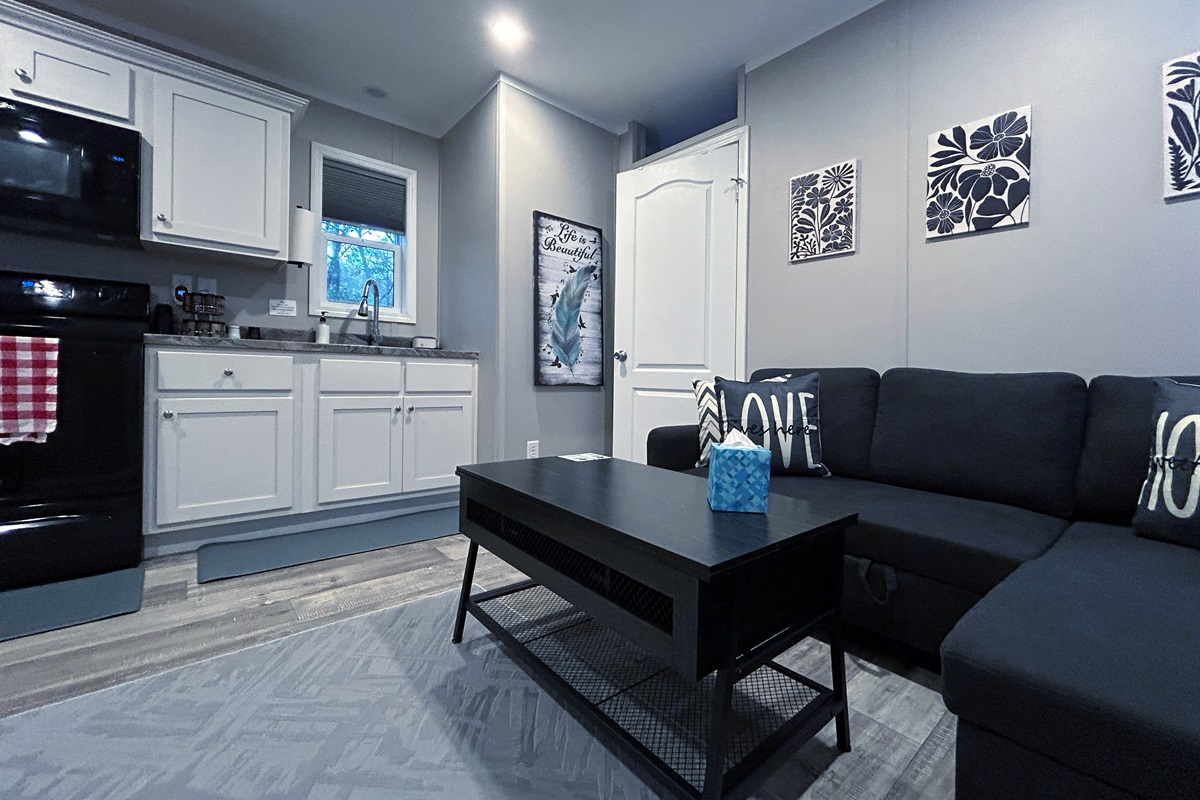 Living room with sleeper sofa