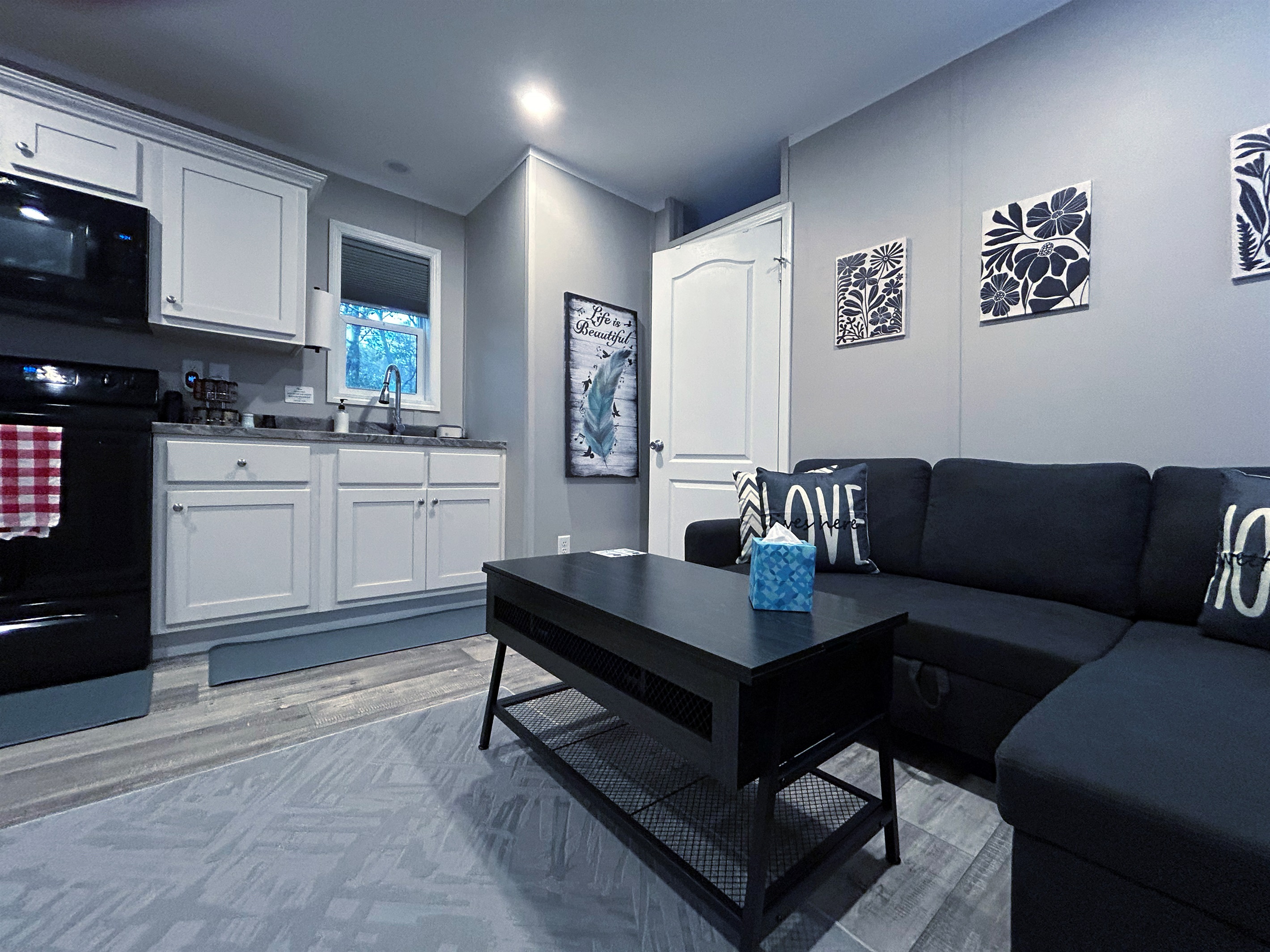 Living room with sleeper sofa