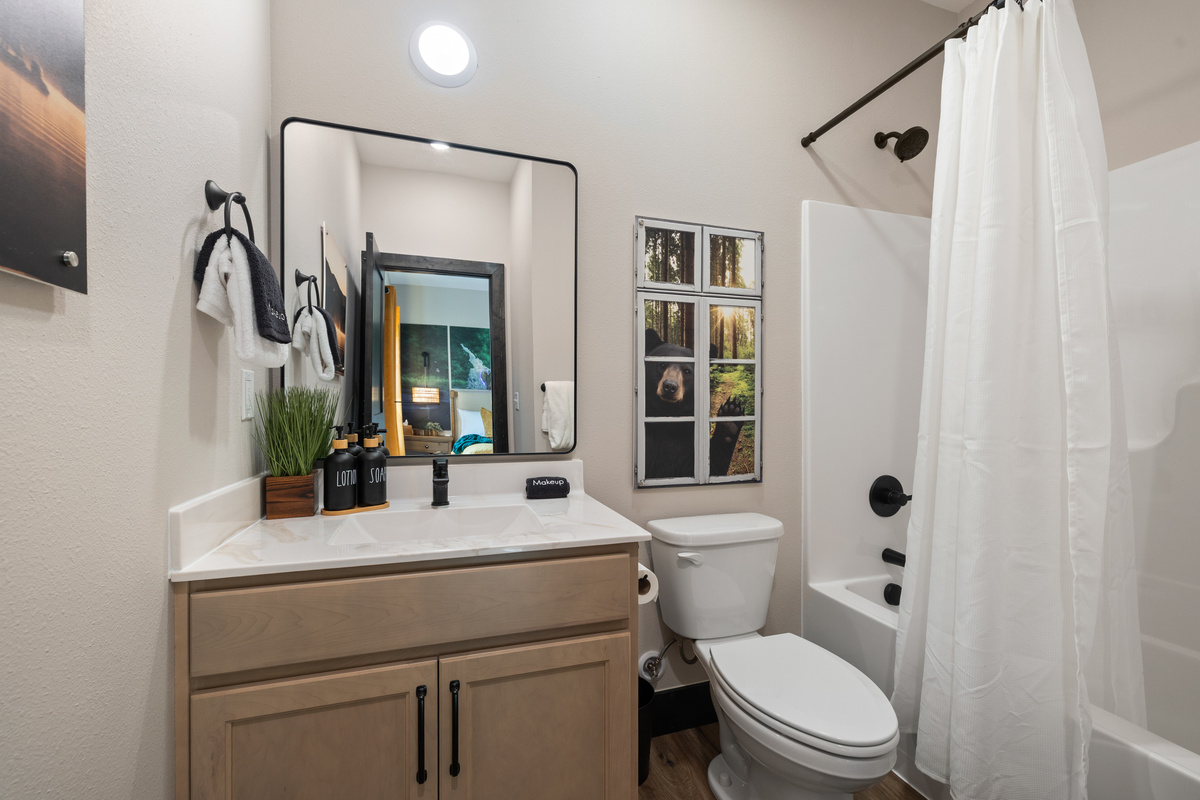 Framed sunrise-on-the-lake art beside the tub-shower.