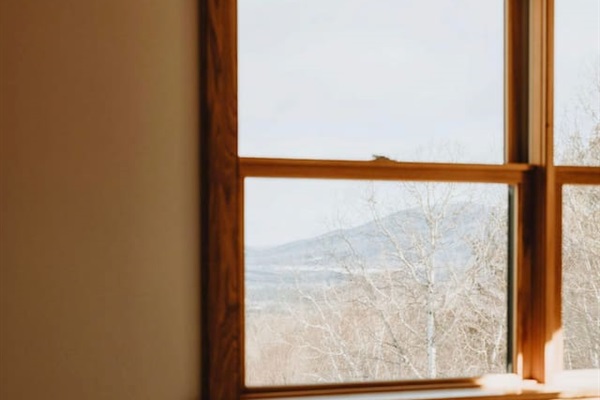 your morning view from bed