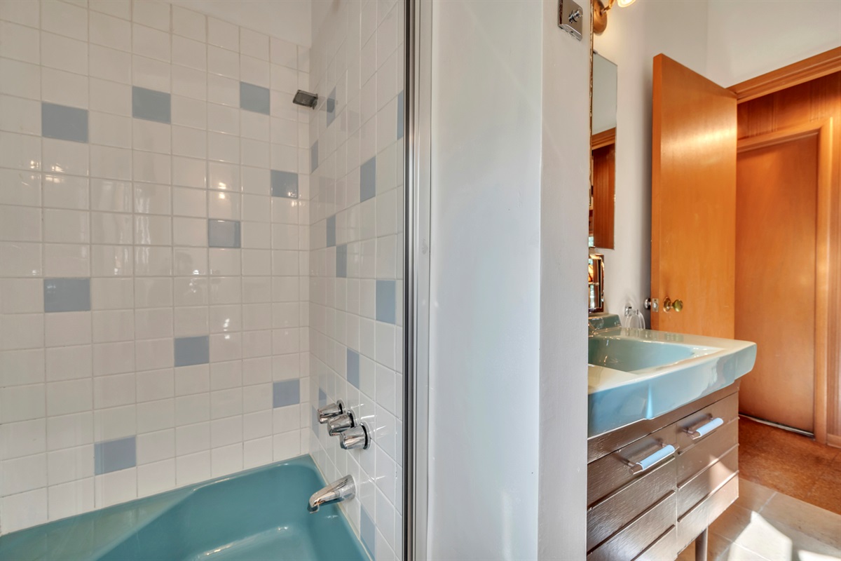 Main Bath Tub Shower (small tub)