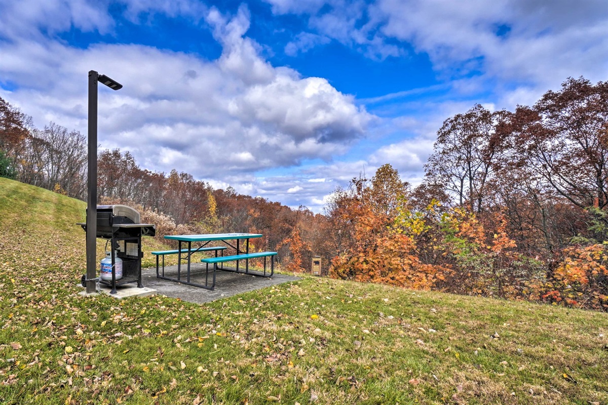 Outdoor gas grill and picnic tables available