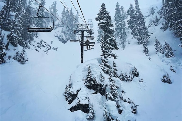 Mt Baker Ski Area