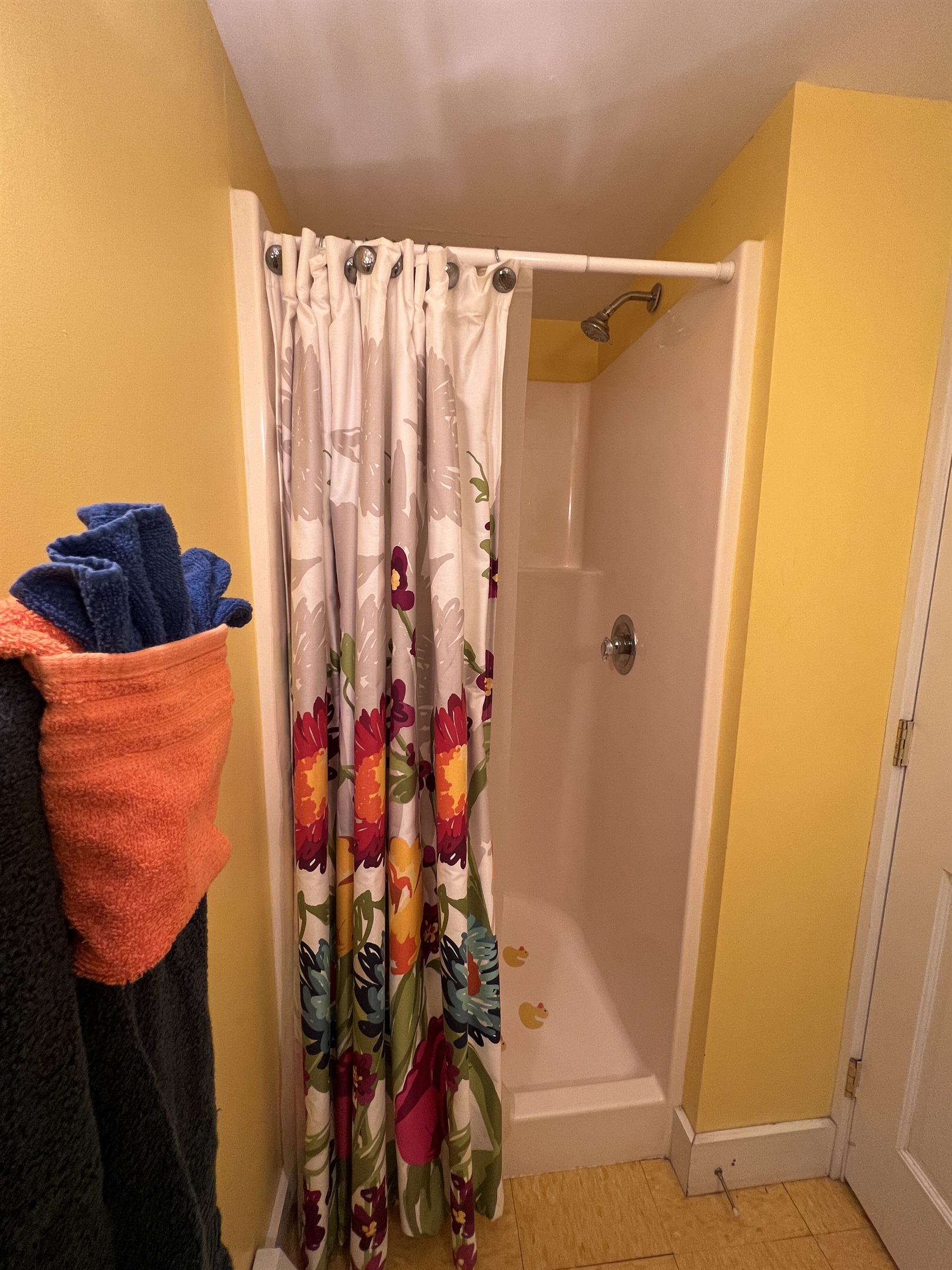 Dandelion main house entry bathroom with shower.