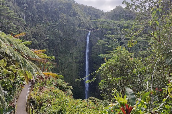 Drive 2 hrs to the Akaka falls for a quick hike.