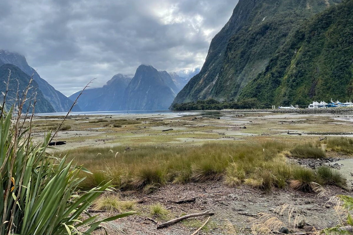 Milford Sound