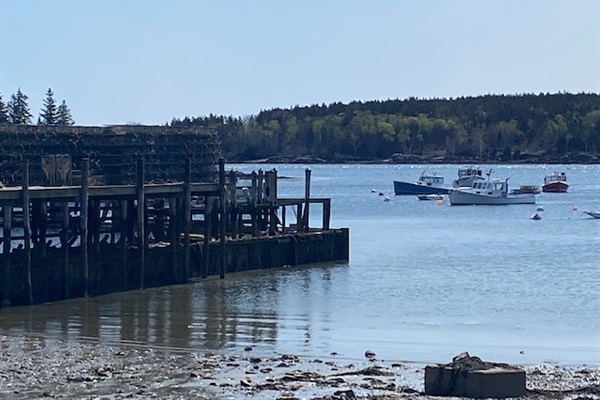 Owls Head Harbor