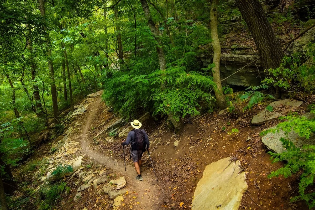 The multi-use trails in Bella Vista are incredibly diverse and useful for walking, running, and biking. You'll experience beautiful views,, creeks, bridges, and open expanses.