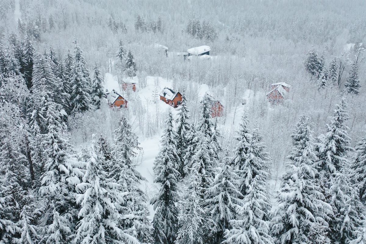 Aerial view of our property and Alpha Mountain Lodging - set within nature and trees.