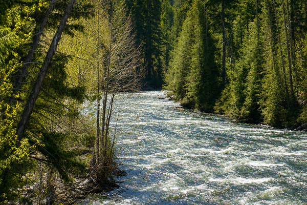 Explore the beautiful Cle Elum River and all of the hiking trails nearby