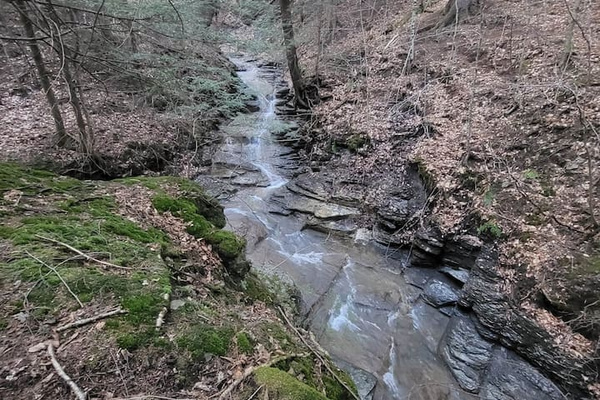 Waterfall on property 