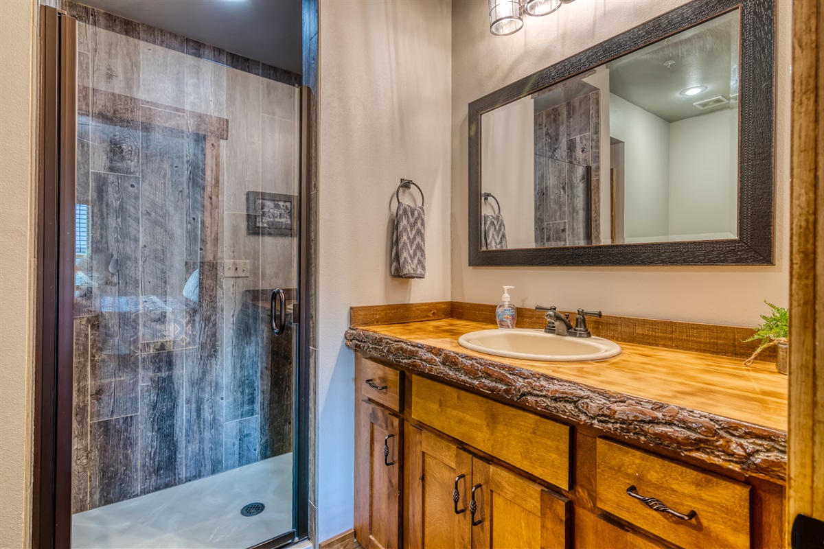 Lower level Jack and Jill bathroom