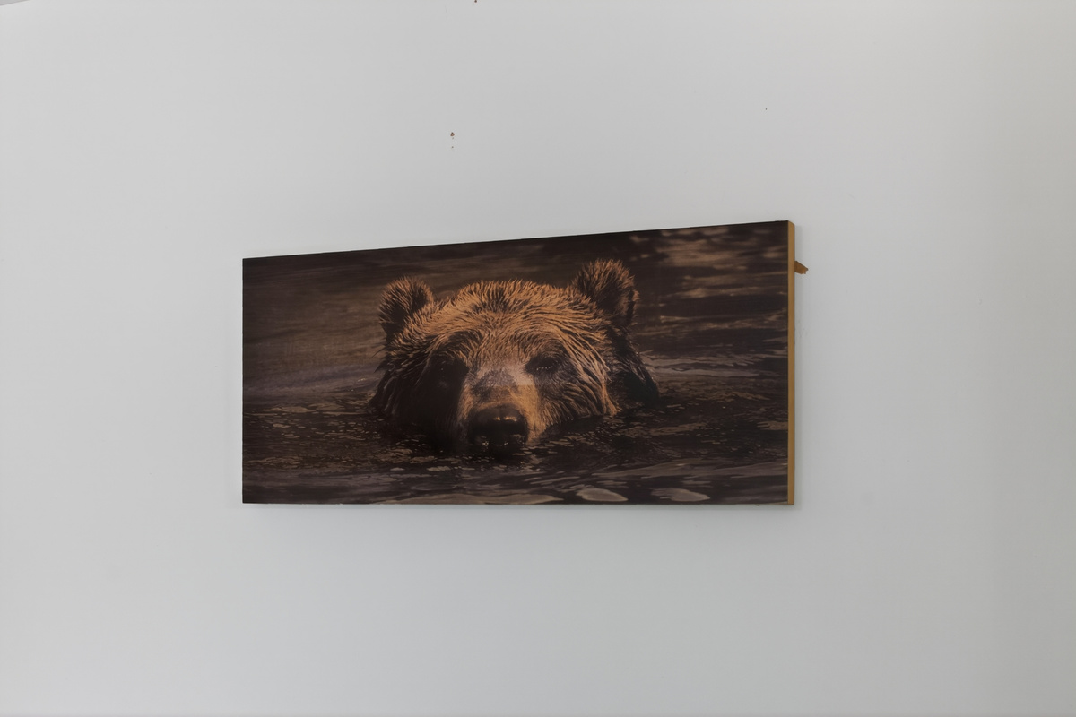 Artistic Touch: Enjoy a unique bear-themed décor piece that invites nature into your stay!