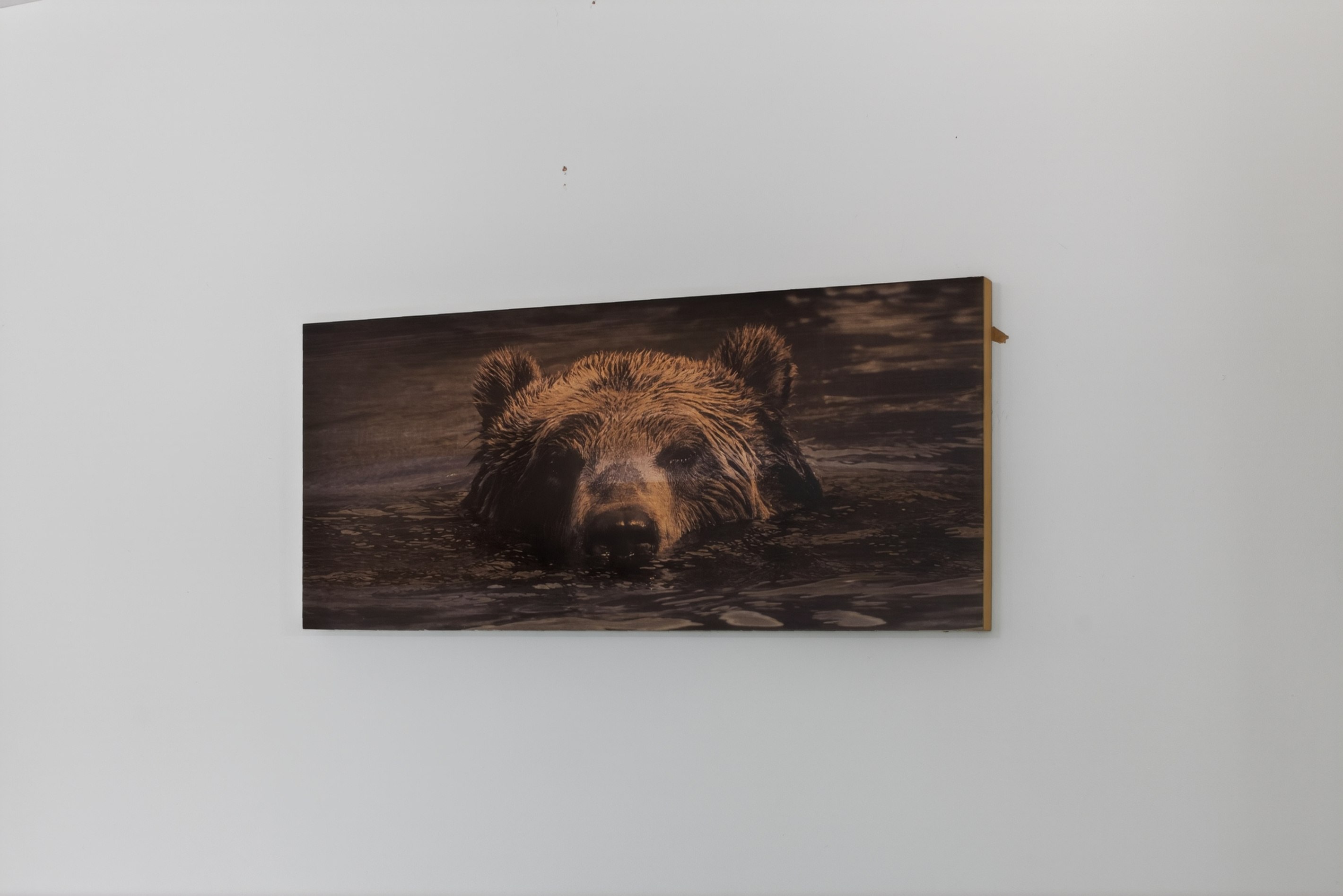 Artistic Touch: Enjoy a unique bear-themed décor piece that invites nature into your stay!