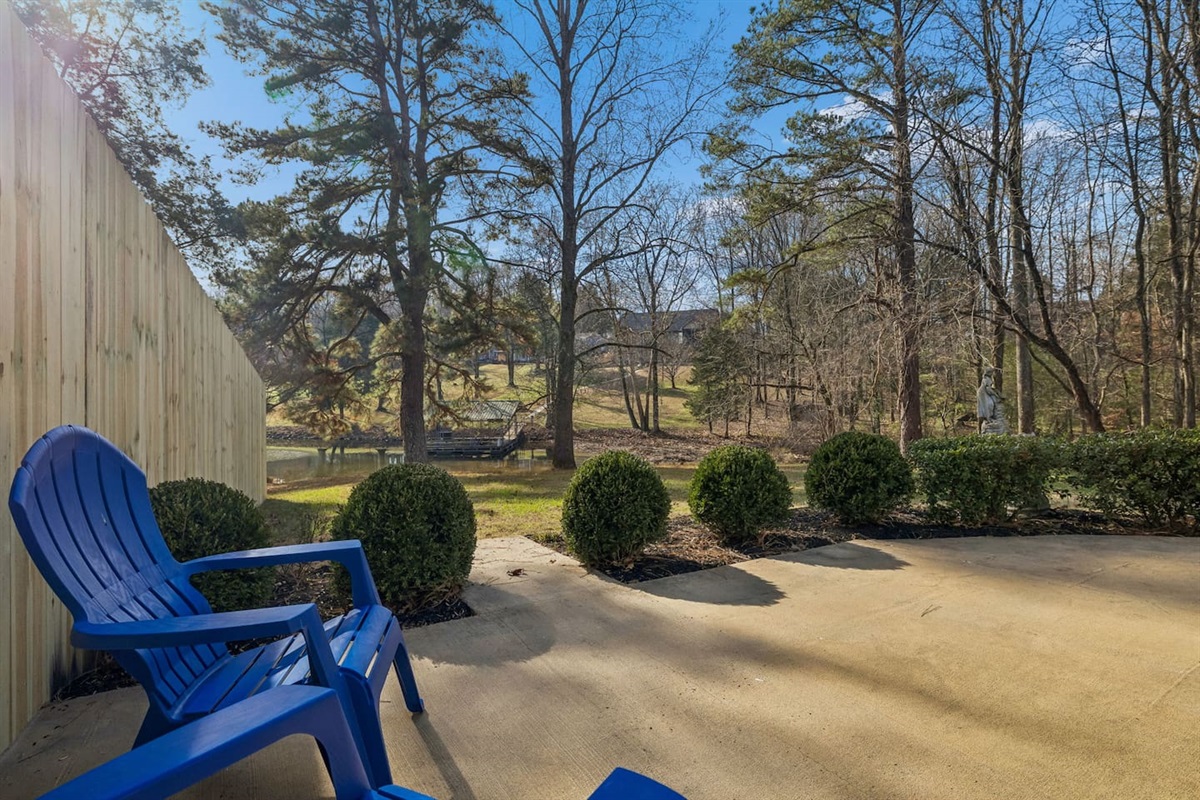 View of Cove from back yard