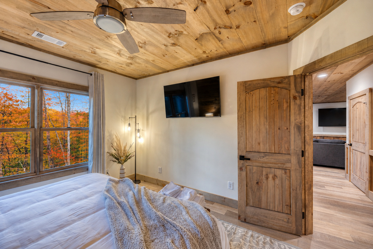 Lower level king bedroom with 55" TV