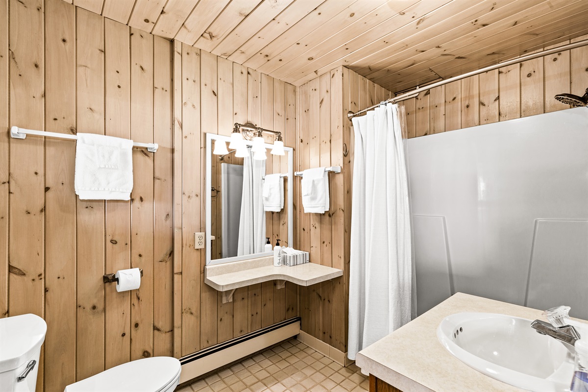 Lower level bathroom.
