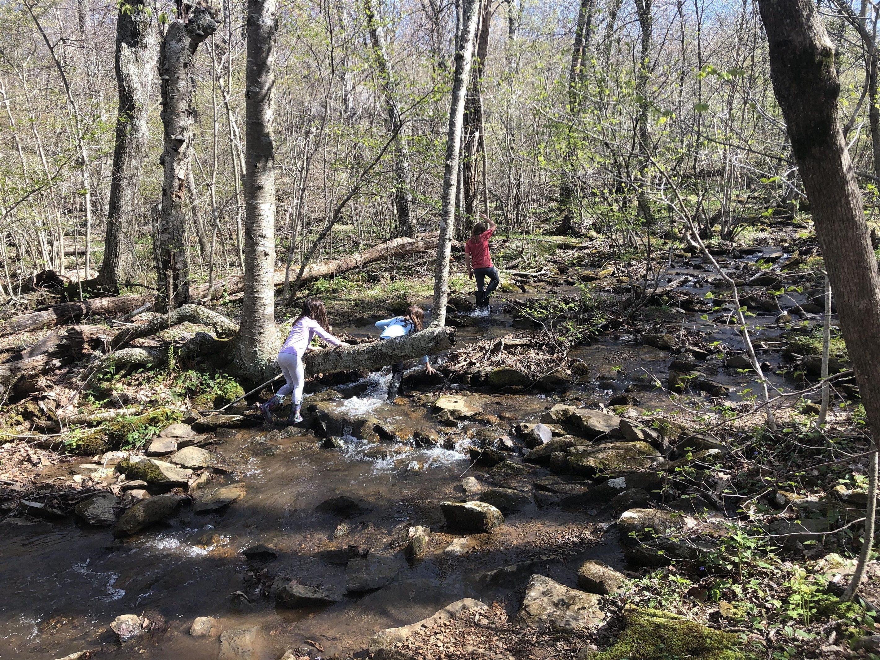 Shamokin creek & trail at base of the property. Two mile hike leads to waterfall