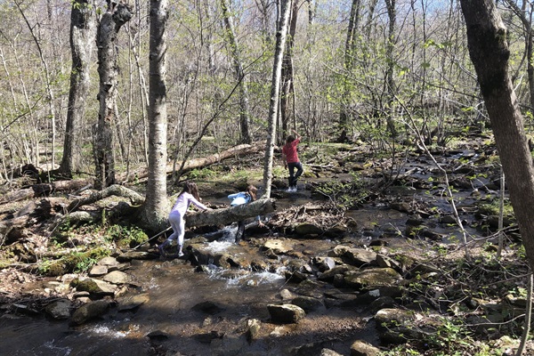 Shamokin creek & trail at base of the property. Two mile hike leads to waterfall