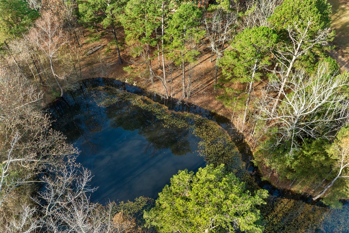 Aerial view of pond