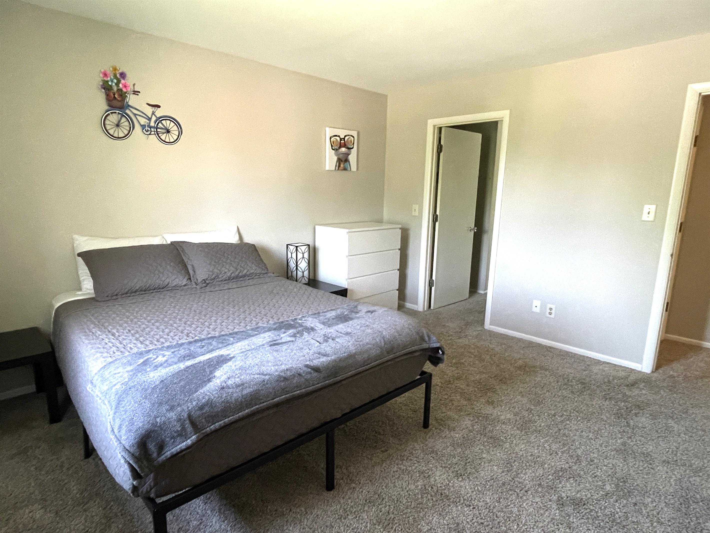 Bedroom w/ Queen Bed, Closet, and Dresser
